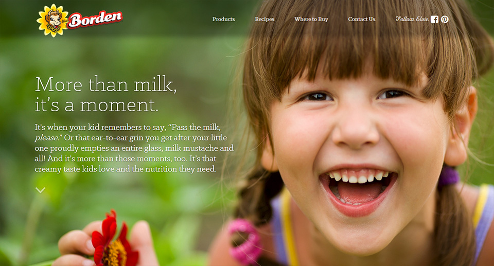 Borden Dairy Website